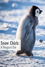 Watch Snow Chick: A Penguin's Tale Zoechip