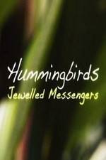 Watch Hummingbirds Jewelled Messengers Zoechip