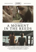 Watch A Moment in the Reeds Zoechip