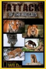 Watch National Geographic Attack Of The Big Cats Zoechip