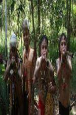 Watch National Geographic Headhunters Of WWII Zoechip