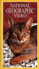 Watch Cats: Caressing the Tiger Zoechip