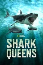 Watch Shark Queens Zoechip