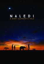 Watch Naledi: A Baby Elephant\'s Tale Zoechip