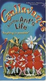 Watch Gallavants Zoechip