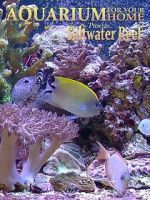 Watch Aquarium for Your Home: Saltwater Reef Zoechip
