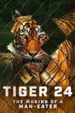Watch Tiger 24 Zoechip
