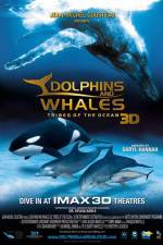 Watch Dolphins and Whales 3D Tribes of the Ocean Zoechip