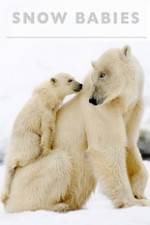 Watch Snow Babies Zoechip