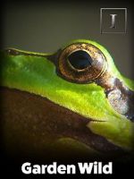 Watch Garden Wild! Zoechip
