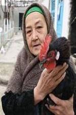 Watch The Telegram Zoechip