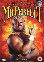 Watch The Life and Times of Mr. Perfect Zoechip