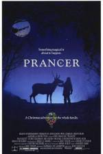 Watch Prancer Zoechip