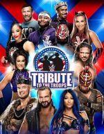 Watch WWE Tribute to the Troops Zoechip