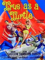 Watch True as a Turtle Zoechip