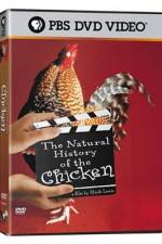 Watch The Natural History of the Chicken Zoechip