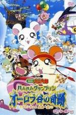Watch Hamtaro Movie 3: Ham Ham Grand Prix Zoechip