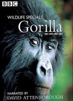 Watch Gorilla Revisited with David Attenborough Zoechip