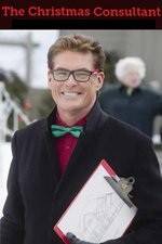 Watch The Christmas Consultant Zoechip