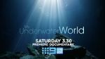 Watch My Underwater World (TV Special 2024) Zoechip