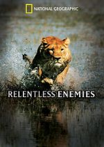 Watch Relentless Enemies Zoechip