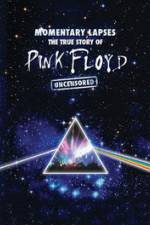 Watch Pink Floyd: Momentary Lapses - The True Story Of Pink Floyd Zoechip