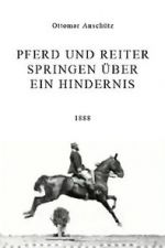 Watch Pferd und Reiter Springen über ein Hindernis Zoechip