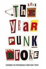 Watch 1991 The Year Punk Broke Zoechip