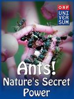 Watch Ants: Nature\'s Secret Power Zoechip