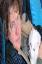 Watch Ciao Meow Zoechip