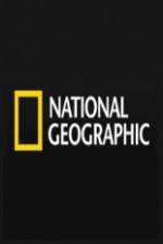 Watch National Geographic Wild Blood Ivory Smugglers Zoechip