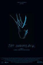 Watch The Hunchback Zoechip