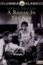 Watch A Raisin in the Sun Zoechip