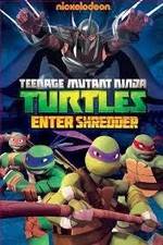Watch Teenage Mutant Ninja Turtles: Enter Shredder Zoechip