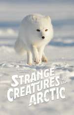 Watch Strange Creatures of the Arctic (TV Special 2022) Zoechip