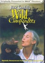 Watch Jane Goodall\'s Wild Chimpanzees Zoechip