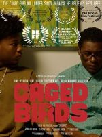Watch Caged Birds Zoechip