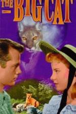 Watch The Big Cat Zoechip