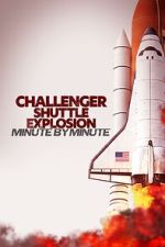 Watch Challenger Shuttle Disaster: Minute by Minute Zoechip