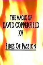 Watch The Magic of David Copperfield XV Fires of Passion Zoechip