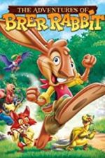 Watch The Adventures of Brer Rabbit Zoechip