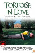Watch Tortoise in Love Zoechip