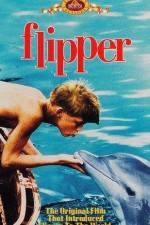 Watch Flipper Zoechip
