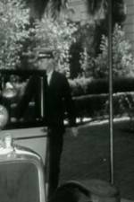 Watch Night Life in Reno Zoechip