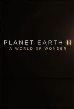 Watch Planet Earth II: A World of Wonder Zoechip