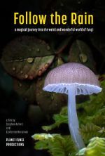 Watch Follow the Rain Zoechip