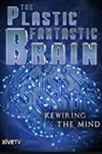 Watch The Plastic Fantastic Brain Zoechip