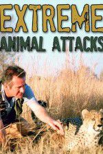 Watch Extreme Animal Attacks Zoechip