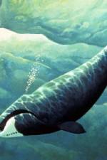 Watch Nature Fellowship of the Whales Zoechip