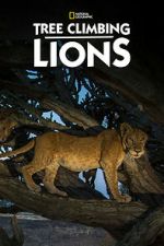 Watch Tree Climbing Lions Zoechip